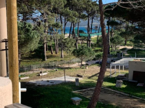 T2 neuf bord de plage - terrasse - CALVI